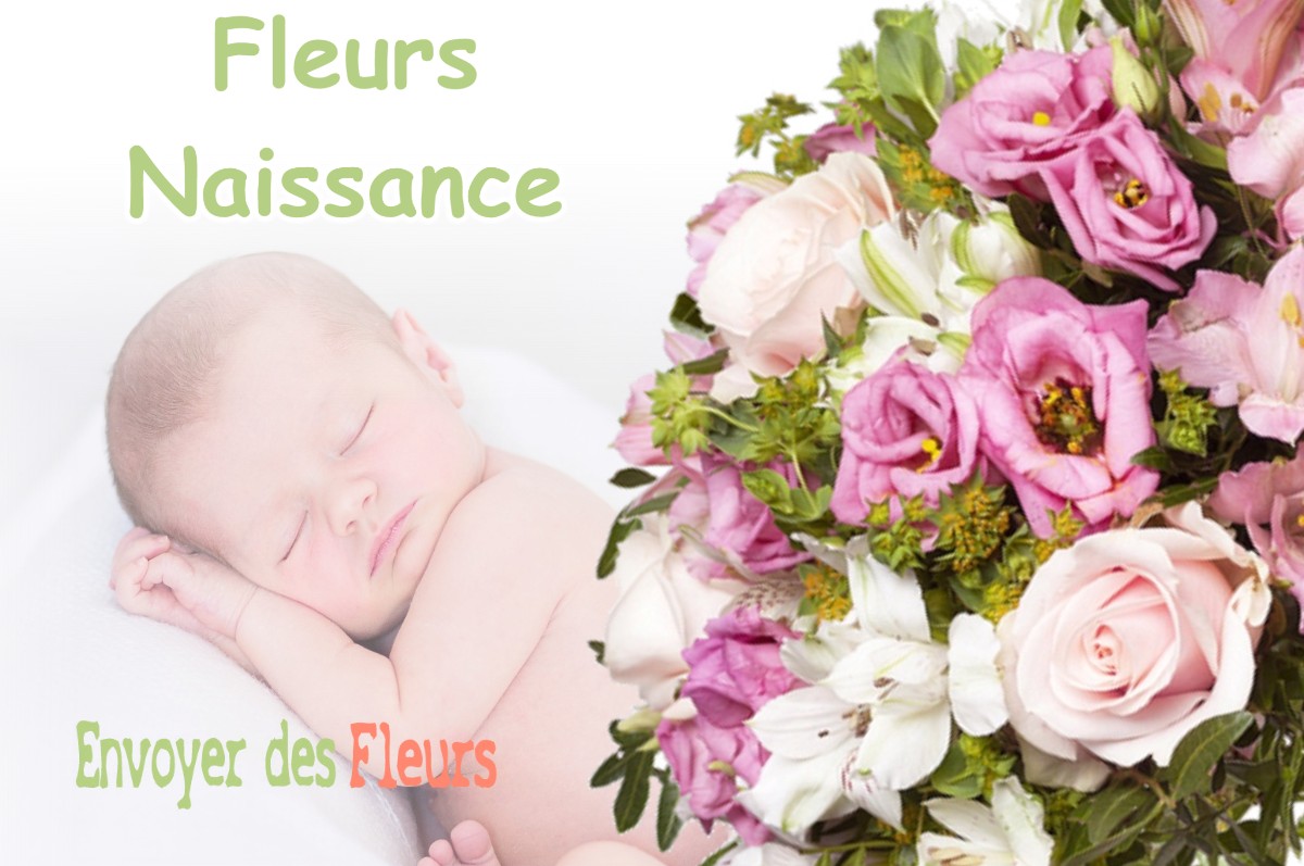 lIVRAISON FLEURS NAISSANCE à MONTAUBAN-DE-LUCHON